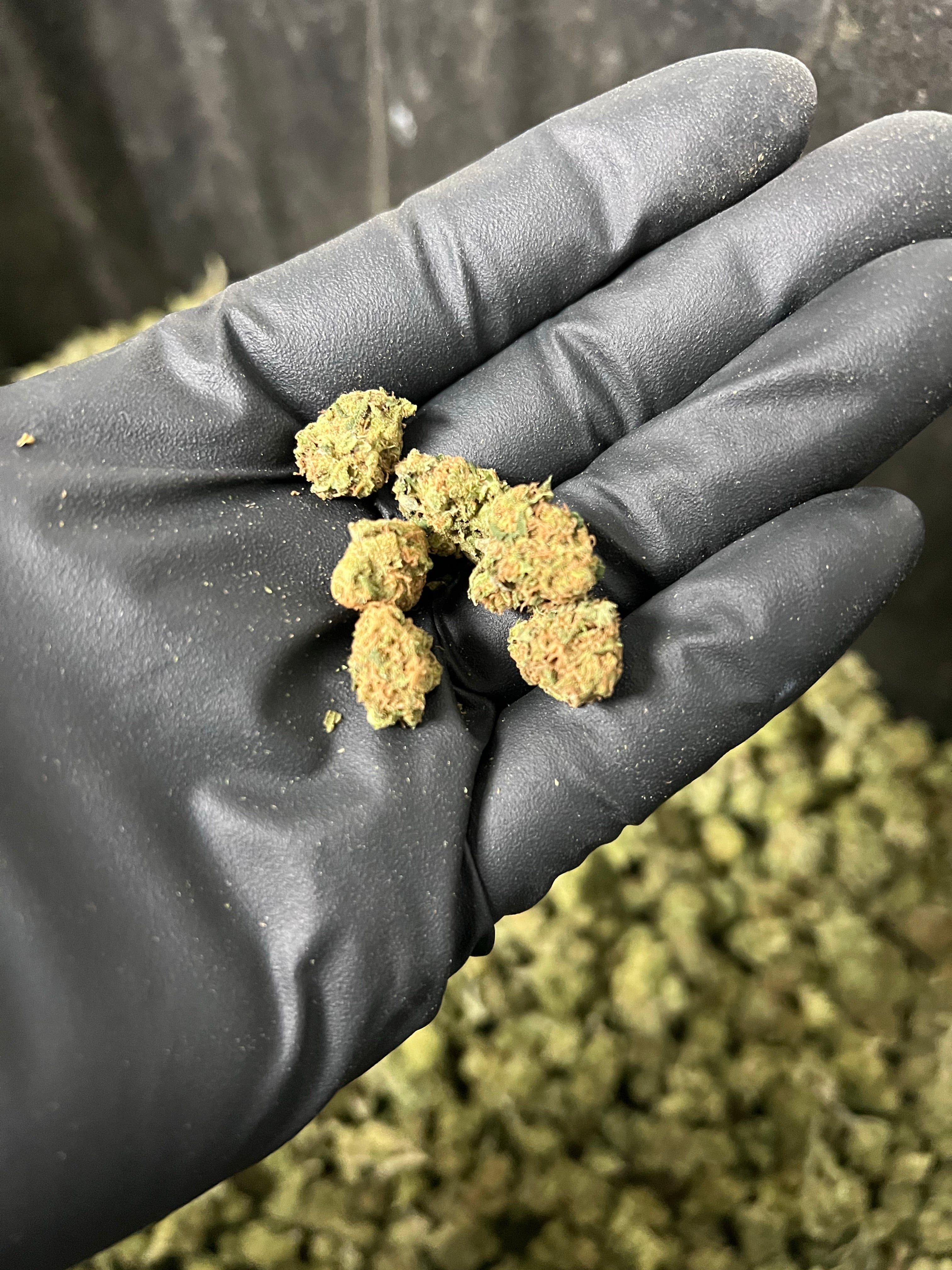 Cherry Abacus Smalls